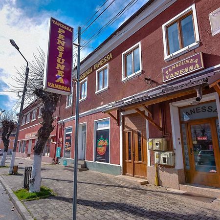 Pensiunea Vanessa Făgăraş Eksteriør billede
