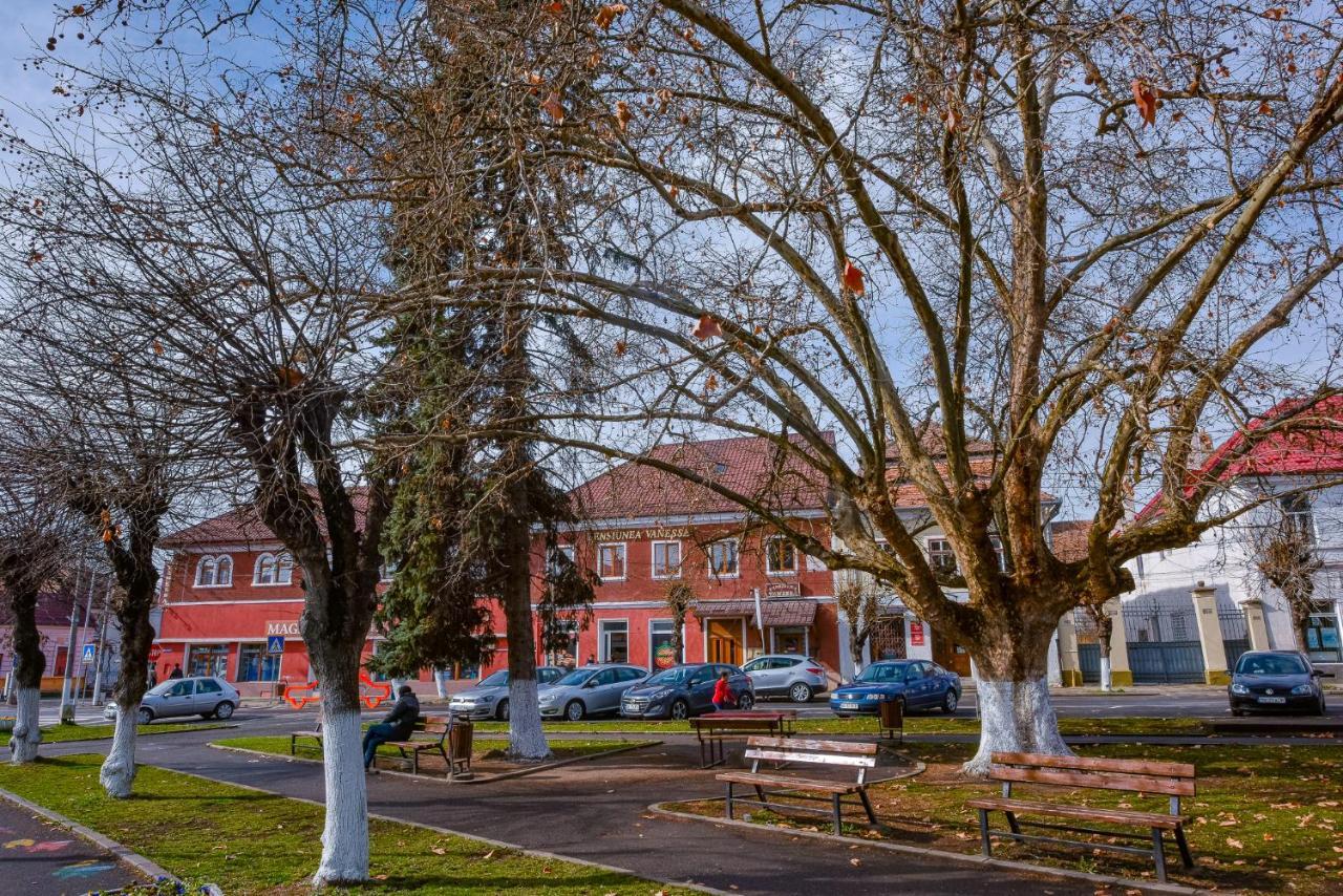 Pensiunea Vanessa Făgăraş Eksteriør billede
